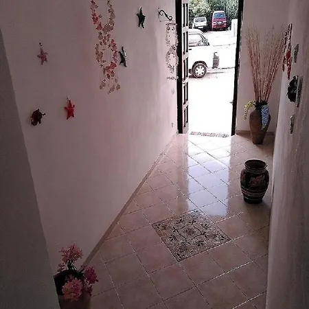 Apartment L'Acquario Appartamento! Pesci Conchiglie E Stelle Marine Ponza